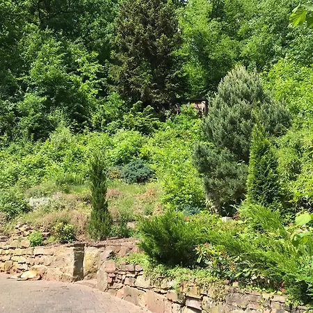 Ferienhaus Am Wald I Garten I Freisitz I Grill I Whirlpool I Kamin I Feuerschale-3